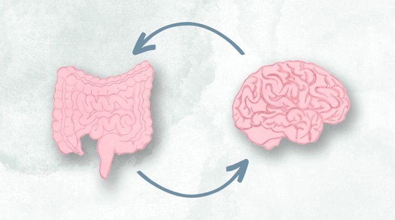 The Role of Gut Health in Mental Well-being